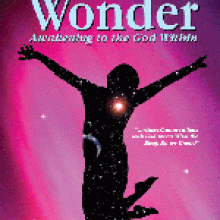 Drunk With Wonder - Steve Ryals